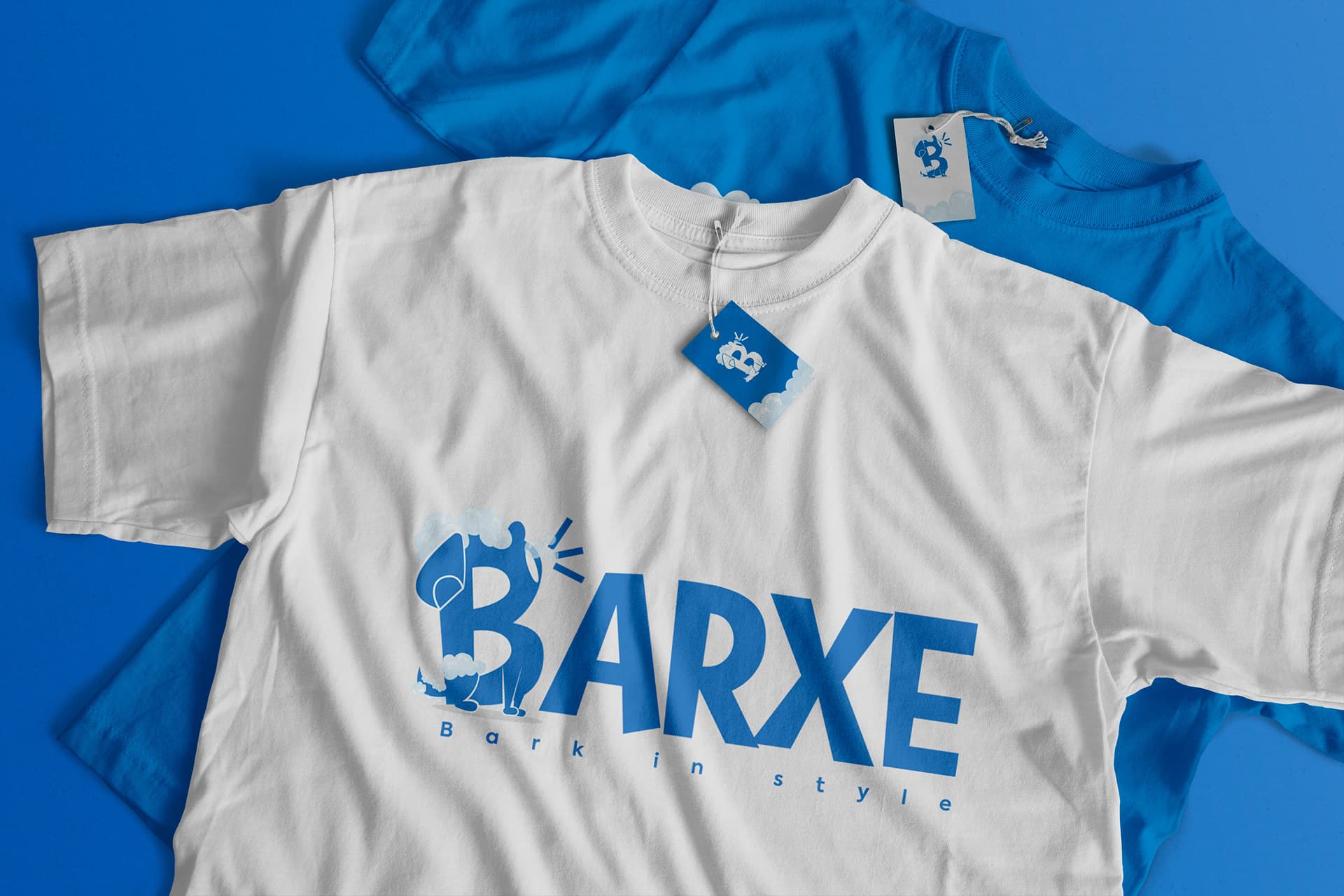 Barxe image 13