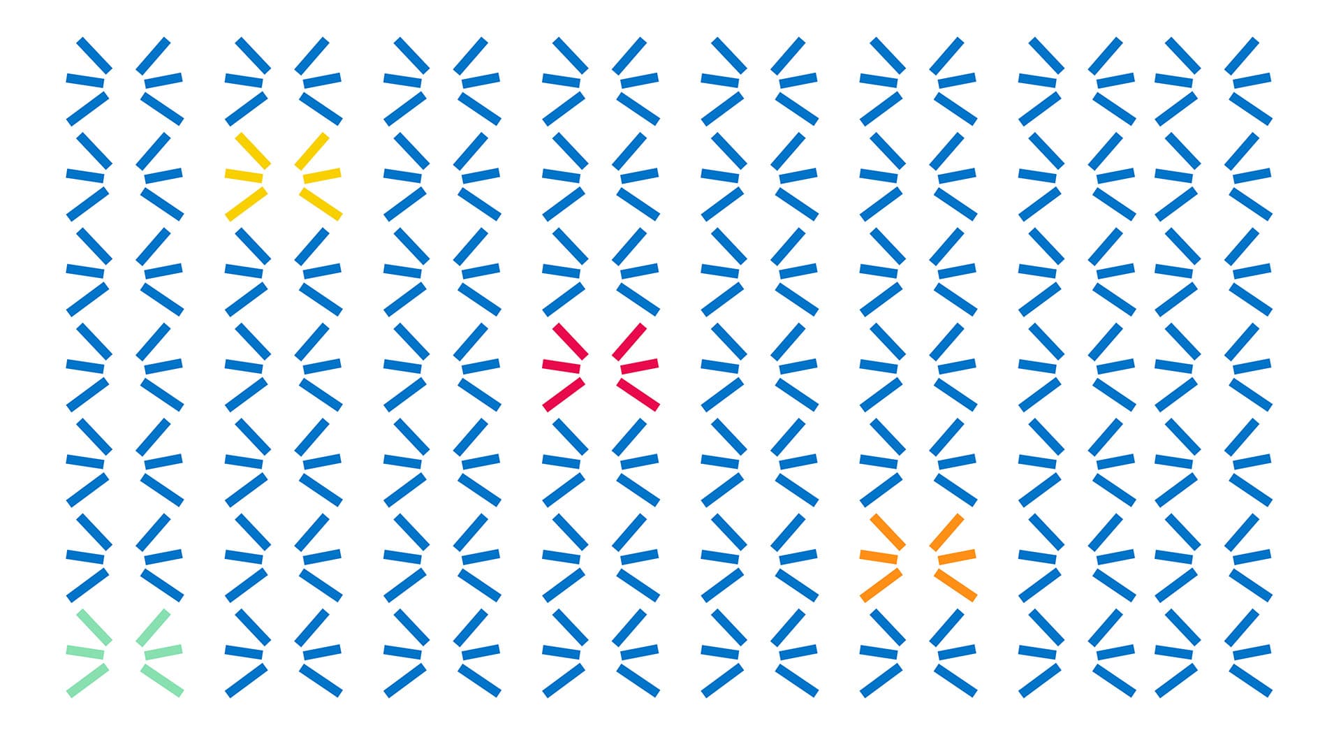 Barxe image 7
