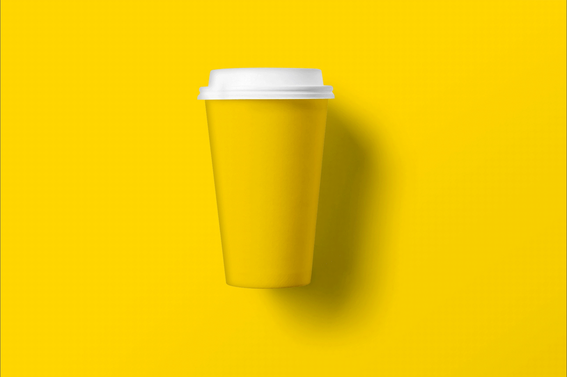 More Branding identity
