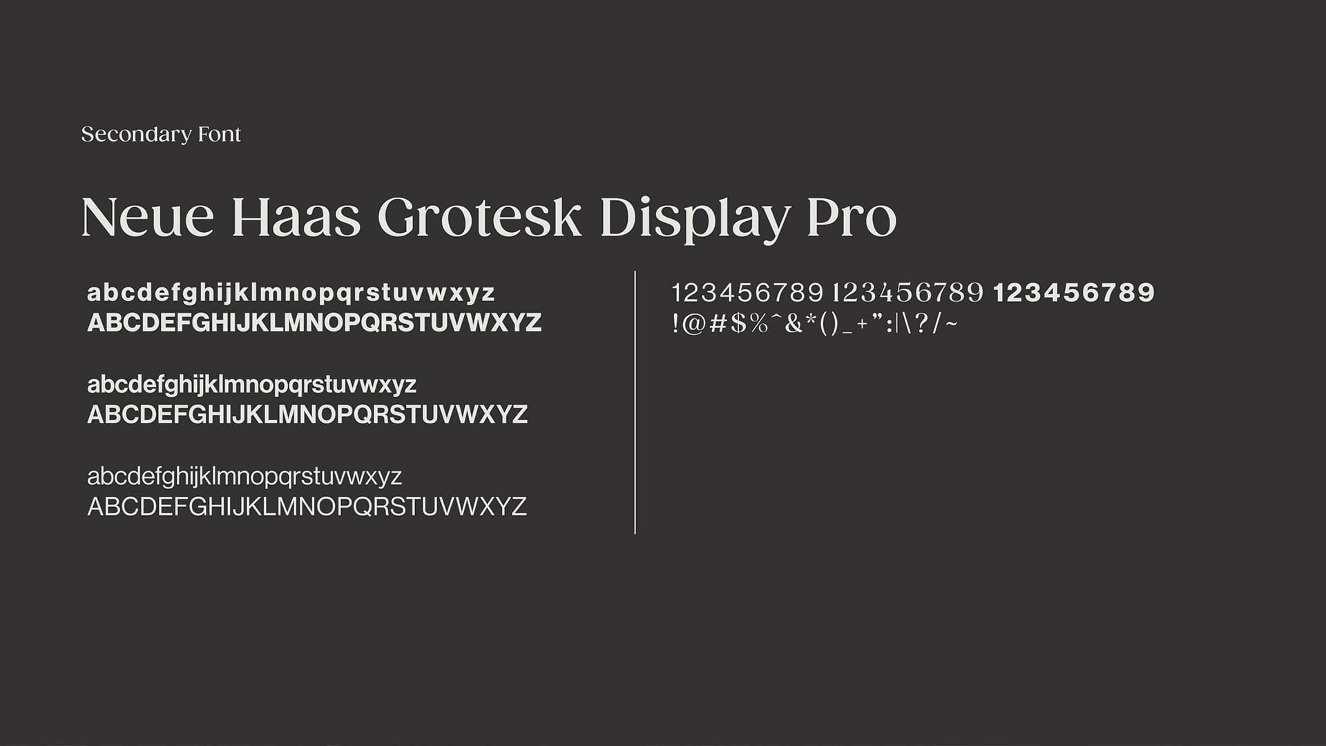 Wired Sun Branding image 12